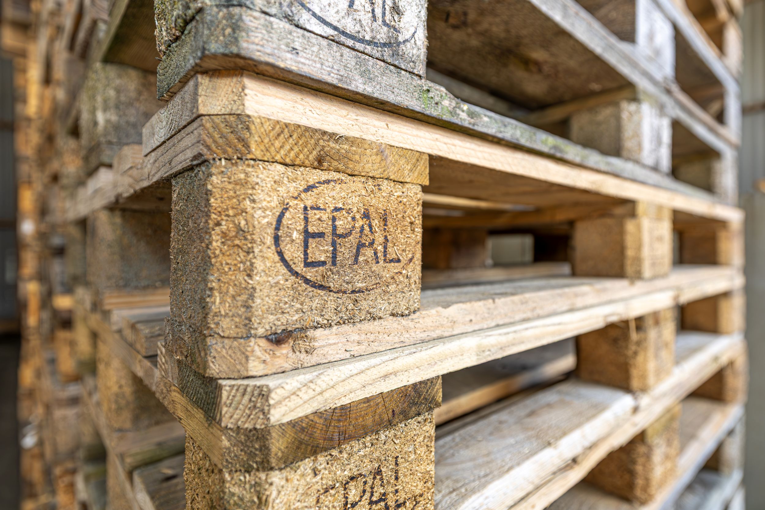 pallets kopen friesland